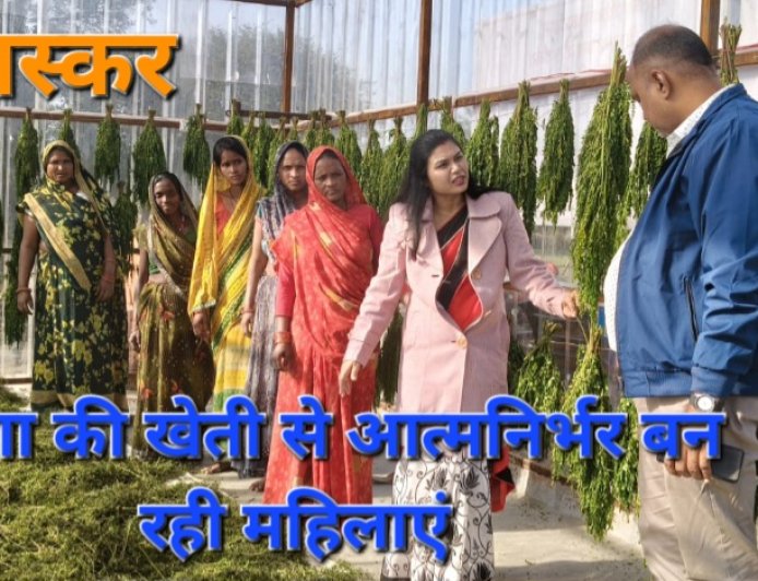 मोरिंगा की खेती से आत्मनिर्भर बन रहीं प्रदेश की बेटियां