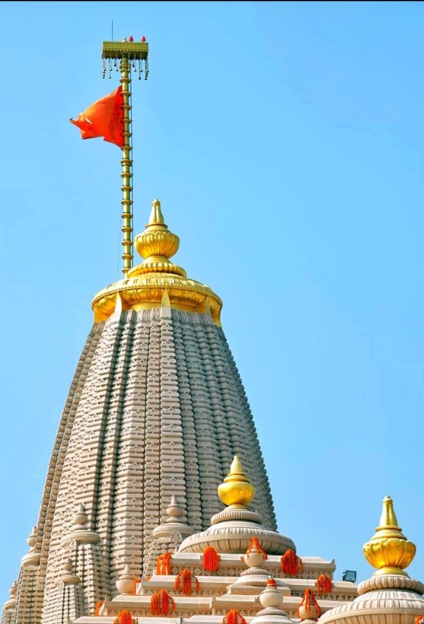 सनातन मूल्यों की जिजीविषा। -डॉ सत्येन्द्र कुमार,  सीईओ - यूनिवर्सल कम्युनिकेशन मीडिया सेंटर ( यूसीएमसी)।