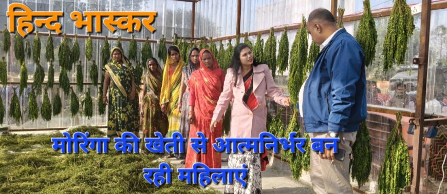 मोरिंगा की खेती से आत्मनिर्भर बन रहीं प्रदेश की बेटियां
