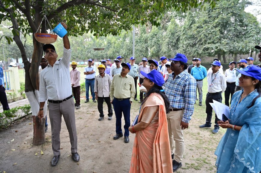 प्रकृति संरक्षण की ओर सामूहिक कदम: एनटीपीसी सिंगरौली में जल एवं गौरैया संरक्षण का सशक्त संदेश
