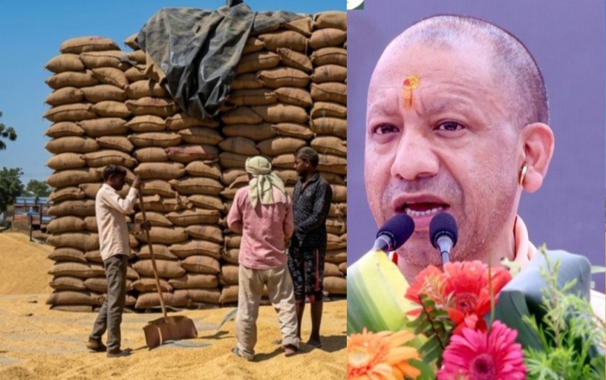 गेहूं खरीद में किसानों को बड़ी राहत, फार्मर रजिस्ट्री के बिना भी सरकारी क्रय केंद्र पर गेहूं बेच सकेंगे किसान