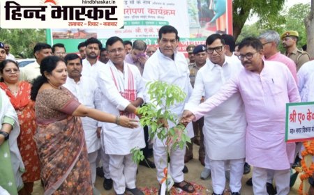 विश्व पर्यावरण दिवस पर मंत्री ए.के. शर्मा ने लगाया कपूर का पौधा