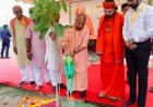 योगी सरकार करेगी 35 करोड़ पौधरोपण, सीएम गोरखपुर में लगाएंगे 'एक पेड़ मां के नाम'