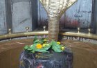 श्री गौरीशंकर राप्ती गंगा धाम में सामूहिक जलाभिषेक एवं शोभायात्रा का आयोजन 2 अगस्त को, श्रद्धालुओं से अधिकाधिक संख्या में शामिल होने की अपील
