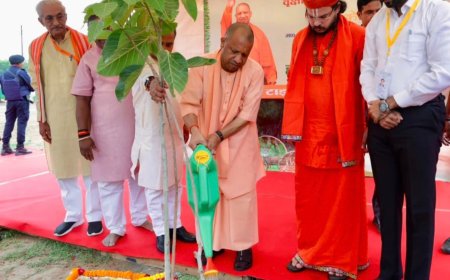 योगी सरकार करेगी 35 करोड़ पौधरोपण, सीएम गोरखपुर में लगाएंगे 'एक पेड़ मां के नाम'