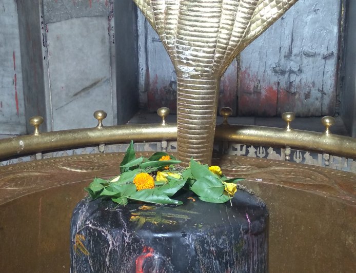 श्री गौरीशंकर राप्ती गंगा धाम में सामूहिक जलाभिषेक एवं शोभायात्रा का आयोजन 2 अगस्त को, श्रद्धालुओं से अधिकाधिक संख्या में शामिल होने की अपील