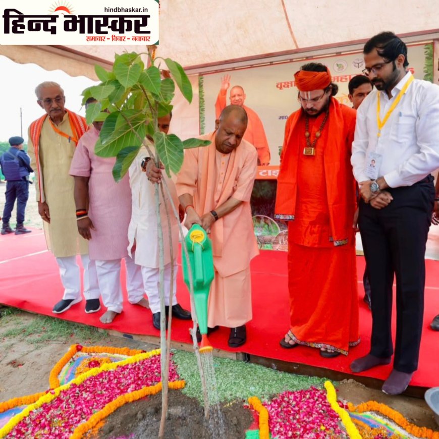 योगी सरकार करेगी 35 करोड़ पौधरोपण, सीएम गोरखपुर में लगाएंगे 'एक पेड़ मां के नाम'