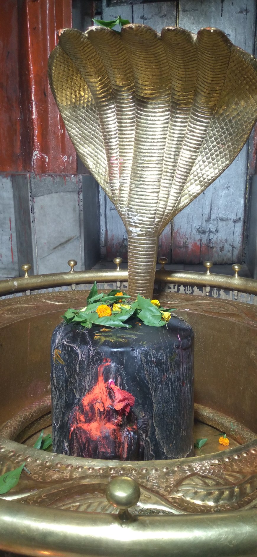 श्री गौरीशंकर राप्ती गंगा धाम में सामूहिक जलाभिषेक एवं शोभायात्रा का आयोजन 2 अगस्त को, श्रद्धालुओं से अधिकाधिक संख्या में शामिल होने की अपील
