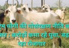 योगी की गोसंरक्षण नीति बनी रोजगार का आधार, पंचगव्य उत्पादों से युवा कर रहे करोड़ों का कारोबार