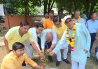 जैसे माँ देती है जीवन का आधार, वैसे ही पेड़ करते हैं सृष्टि का श्रृंगार - राजीव मिश्रा,
