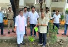 ममता चैरिटेबल ट्रस्ट द्वारा "एक पेड़ माँ के नाम" अभियान के तहत अबतक किया गया लगभग 5 लाख पौधारोपण,