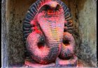 हमारी संस्कृति में देव स्वरूप हैं नाग- डॉ ०ए०के० पाण्डेय