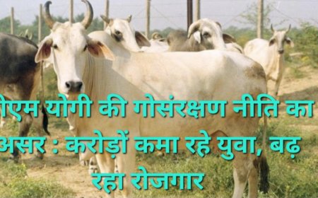 योगी की गोसंरक्षण नीति बनी रोजगार का आधार, पंचगव्य उत्पादों से युवा कर रहे करोड़ों का कारोबार