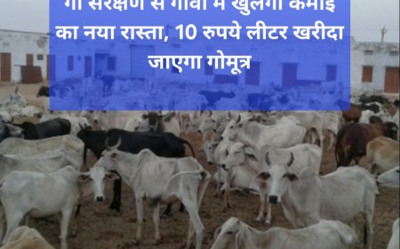 बुलंदशहर में गोमूत्र से बदलेगी ग्रामीण अर्थव्यवस्था: 10 रु लीटर खरीद, महिलाओं को कमीशन, जैविक खेती को बढ़ावा