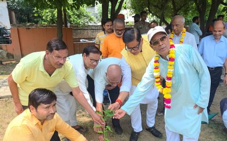 जैसे माँ देती है जीवन का आधार, वैसे ही पेड़ करते हैं सृष्टि का श्रृंगार - राजीव मिश्रा,