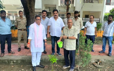 ममता चैरिटेबल ट्रस्ट द्वारा "एक पेड़ माँ के नाम" अभियान के तहत अबतक किया गया लगभग 5 लाख पौधारोपण,