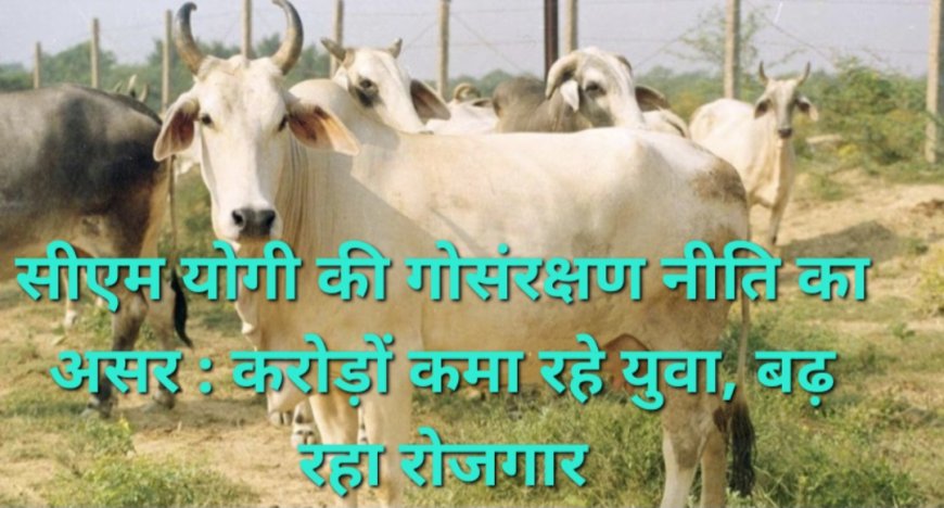 योगी की गोसंरक्षण नीति बनी रोजगार का आधार, पंचगव्य उत्पादों से युवा कर रहे करोड़ों का कारोबार