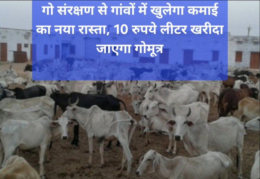 बुलंदशहर में गोमूत्र से बदलेगी ग्रामीण अर्थव्यवस्था: 10 रु लीटर खरीद, महिलाओं को कमीशन, जैविक खेती को बढ़ावा