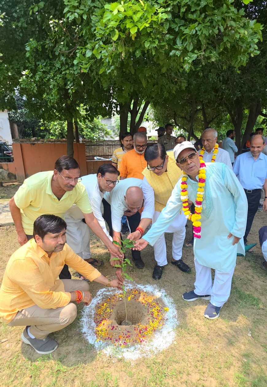 जैसे माँ देती है जीवन का आधार, वैसे ही पेड़ करते हैं सृष्टि का श्रृंगार - राजीव मिश्रा,