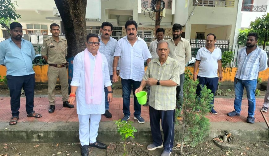 ममता चैरिटेबल ट्रस्ट द्वारा "एक पेड़ माँ के नाम" अभियान के तहत अबतक किया गया लगभग 5 लाख पौधारोपण,