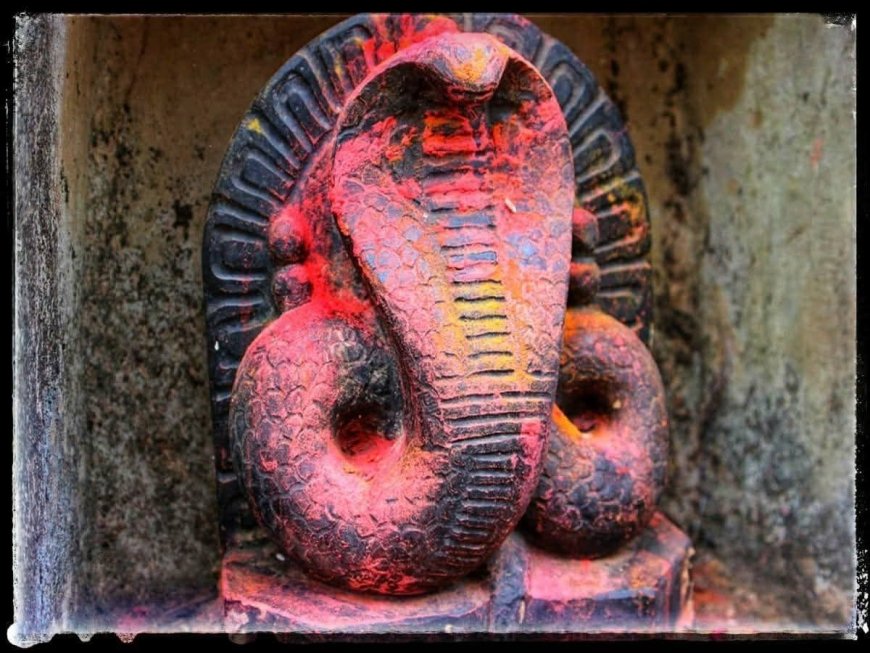 हमारी संस्कृति में देव स्वरूप हैं नाग- डॉ ०ए०के० पाण्डेय