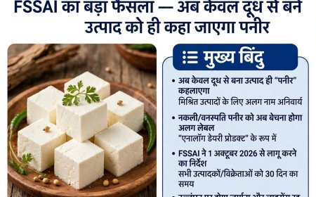 नकली पनीर के नाम पर अब नहीं बेच सकेंगे जहर! FSSAI का बड़ा फैसला, 'पनीर' शब्द पर ही लगा दिया बैन